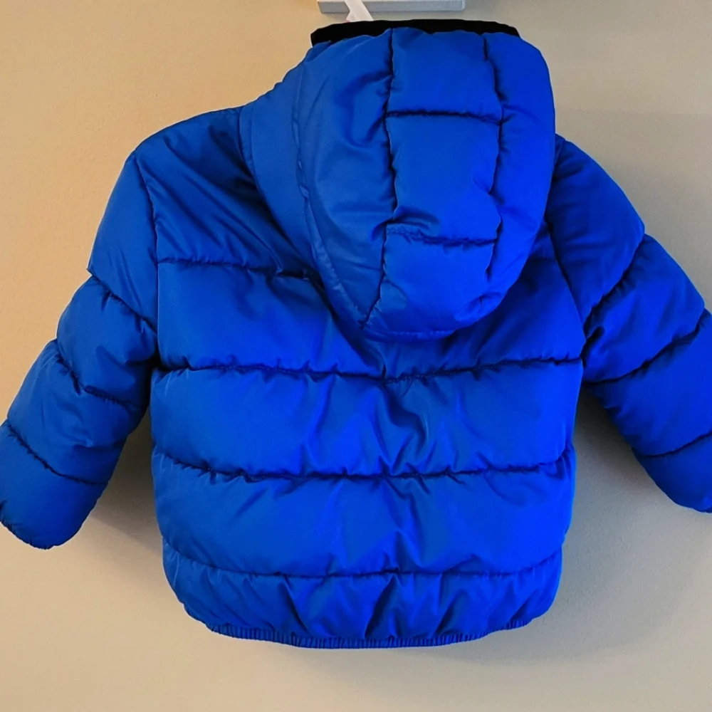 Royal blue puffer hooded jacket - Picture 2 of 4
